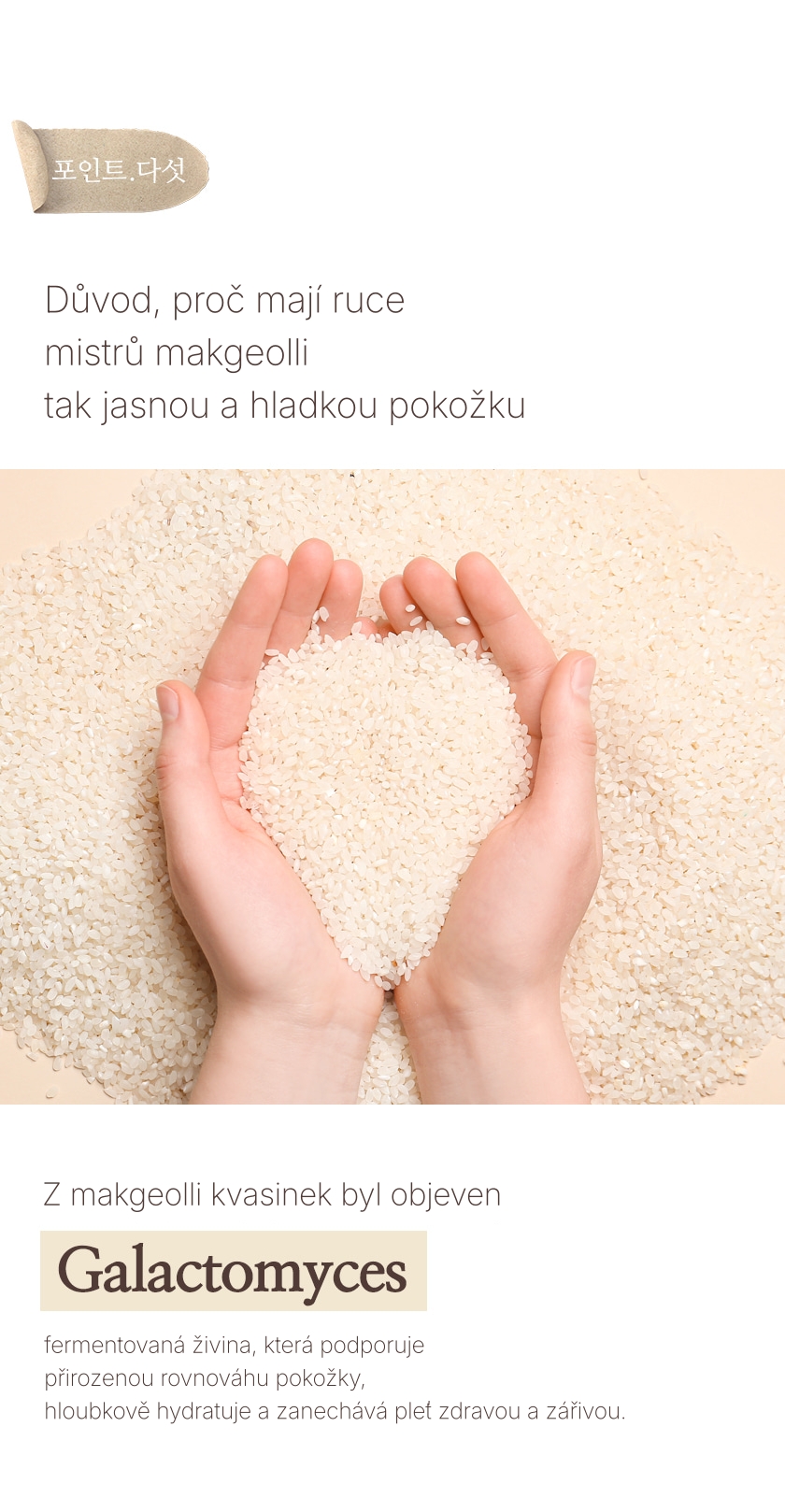 1.4. Detailed Page Rice Makgeolli Probio Cream In Esseence